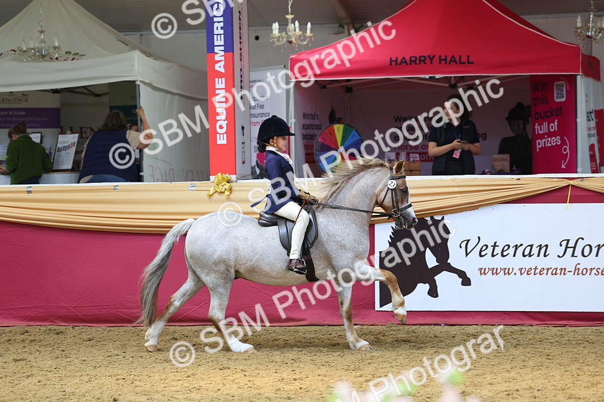 SBM_23916 - Class 905 - Supreme Final - Ridden Veteran