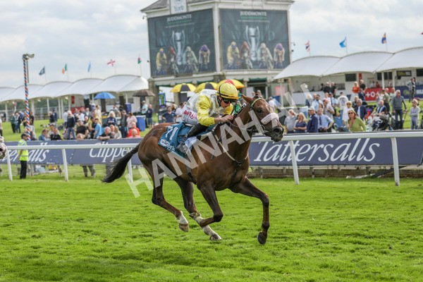 170523-Race 7-Kihavah-7070 - Race 7 5.15pm Stuey Weston & Friends Getting Out Handicap