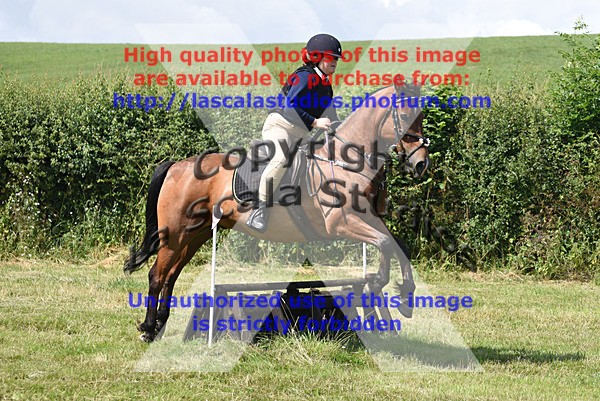 SNCP_0156 - N Group