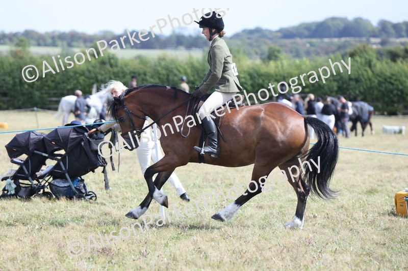 20250831-2973 - Class 19 - Mountain and Moorland