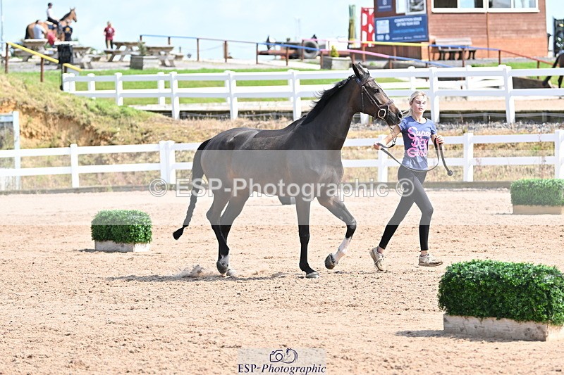 240717A-154216-02991 - Trot Up 3pm to 4pm