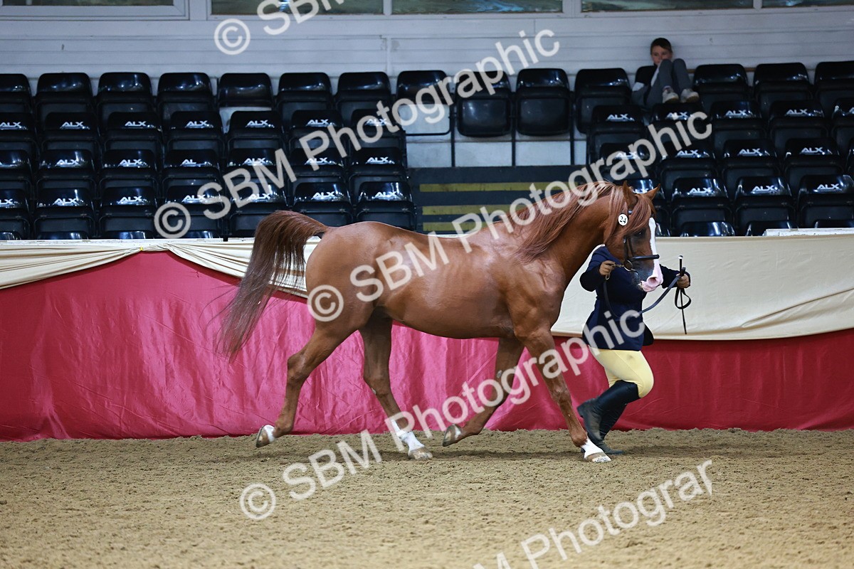 SBM_22373 - Class 902 - Supreme Final - IH Diamond