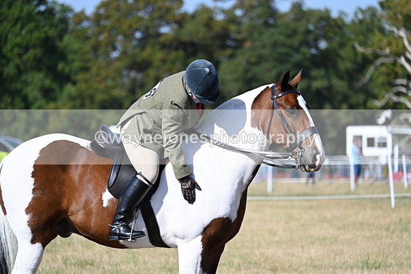 WJ7_2969 - Class 8 Ridden Tack & Turnout