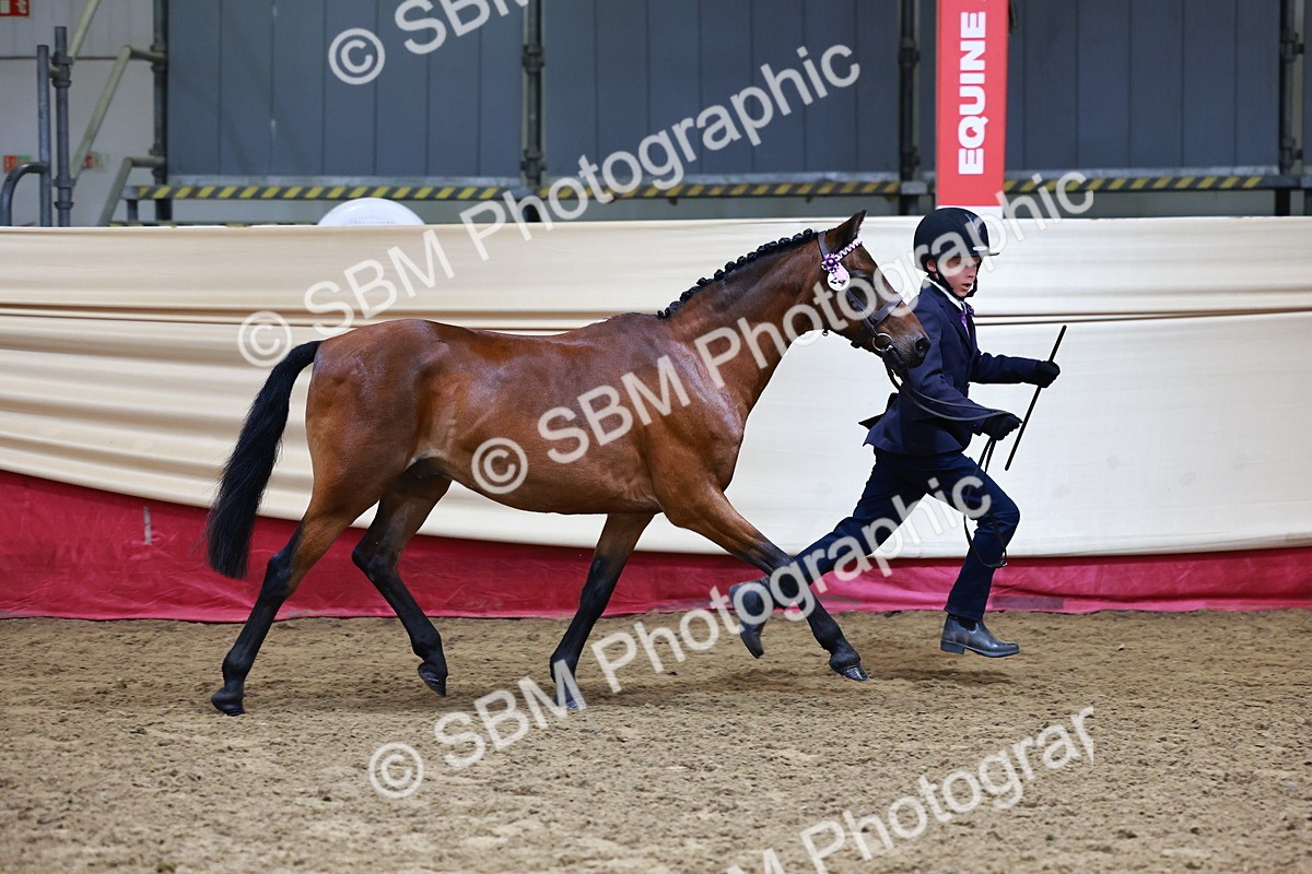 SBM_22126 - Class 902 - Supreme Final - IH Diamond