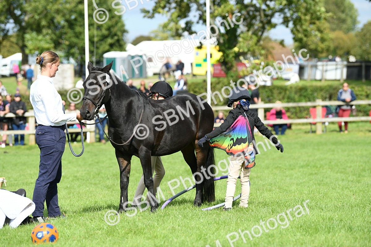 SBM_46968 - S12 - Family Horse & Pony