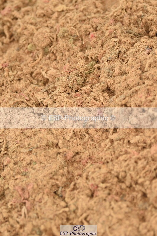 230610A-161008-04130 - Cls 25 Team Competition