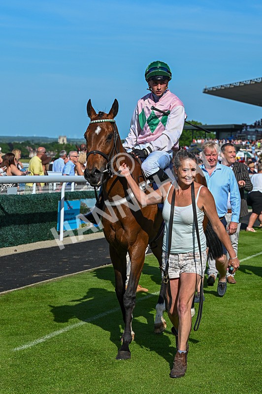300526-Race 7-Anificas Beauty-7206 - Race 7 17.08pm Platinum Queen Play Live After Racing Handicap