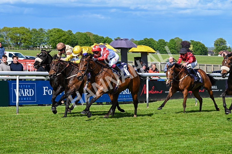 120526-Race 4-Dandy Dinmont-8275 - Race 4 4.00pm Annie Oxtoby Memorial Handicap