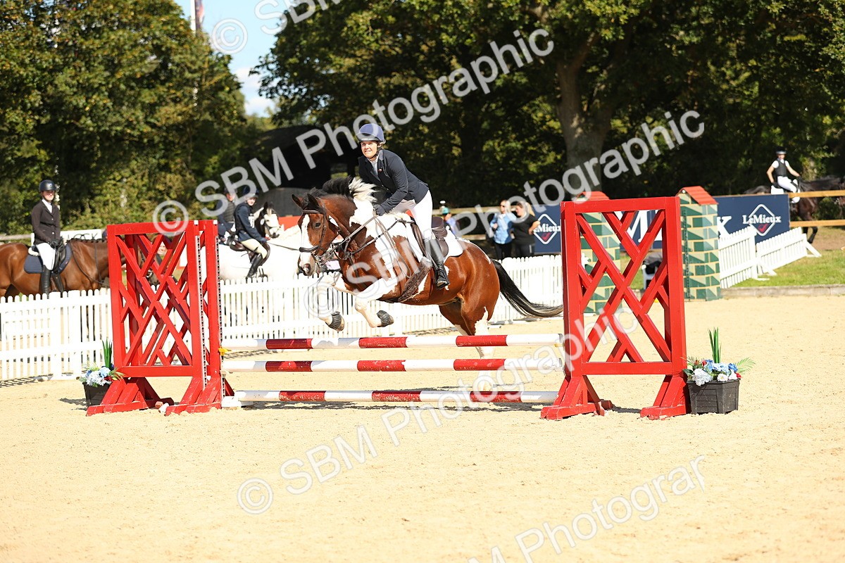 SBM_23950 - J45 - Accumulator 70 80cm