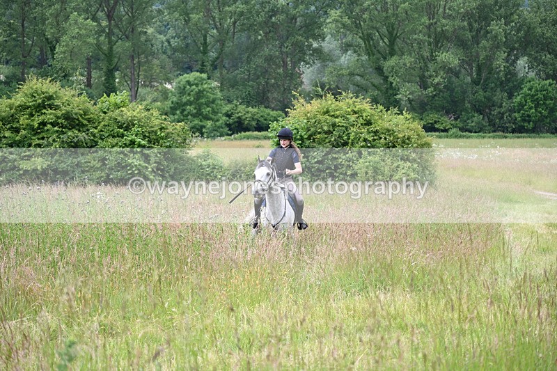WJ6_7979 - Camera 1 Gallops