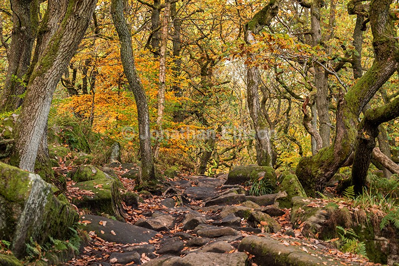 Padley Gorge - The Peak District