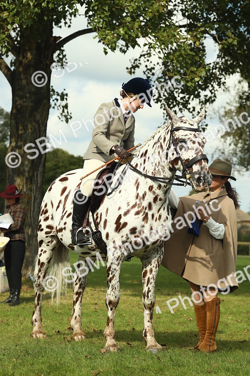 SBM_62523 - S62 - Foreign Breeds Ridden