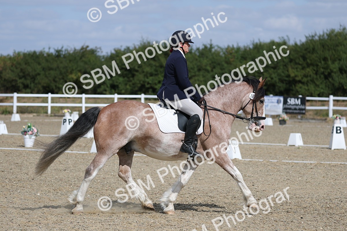 SBM_020917 - Class 21 - M5 Bronze 10.58.12.10