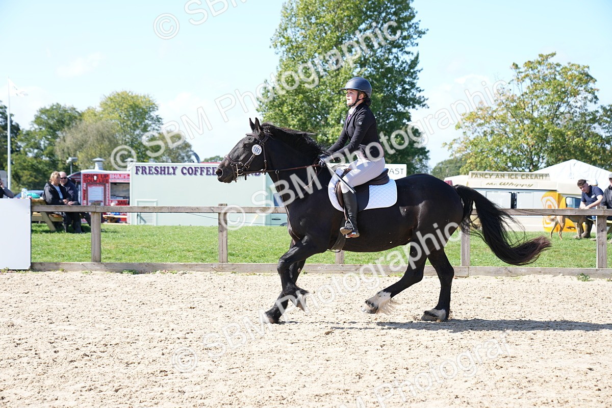 SBM_04963 - J56 - Clear Round 70cm