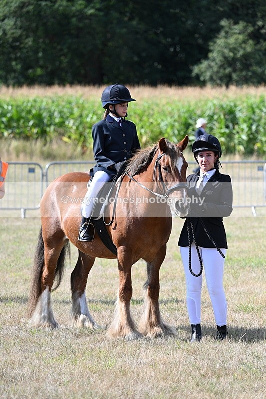 WJ7_2721 - Class 8 Ridden Tack & Turnout