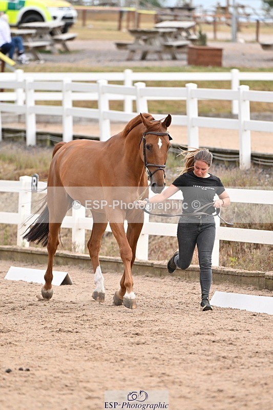 250716-151428-01811 - Trot Up 2.30 to 3.30