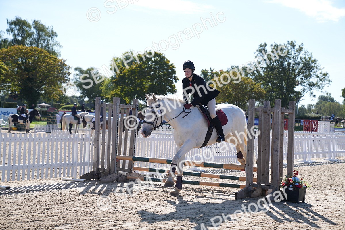 SBM_17664 - J58 - Clear Round 60cm