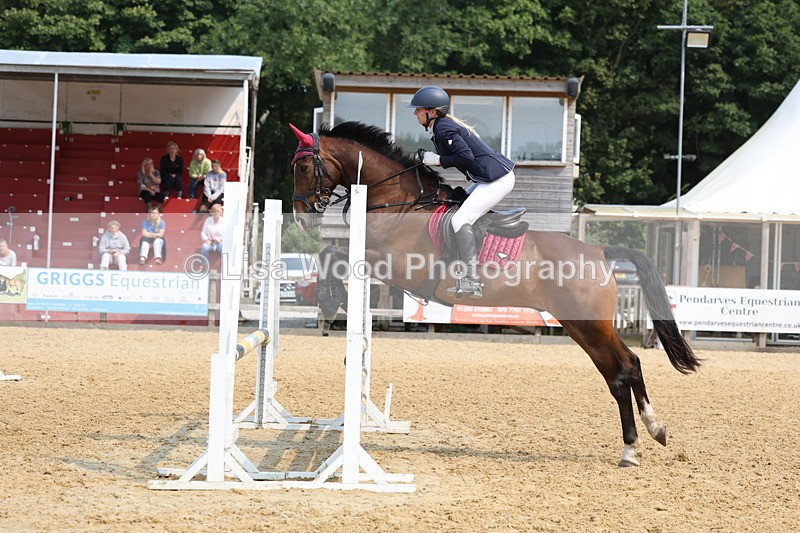 3E7A1389 - Class 4: Senior British Novice/90cm open