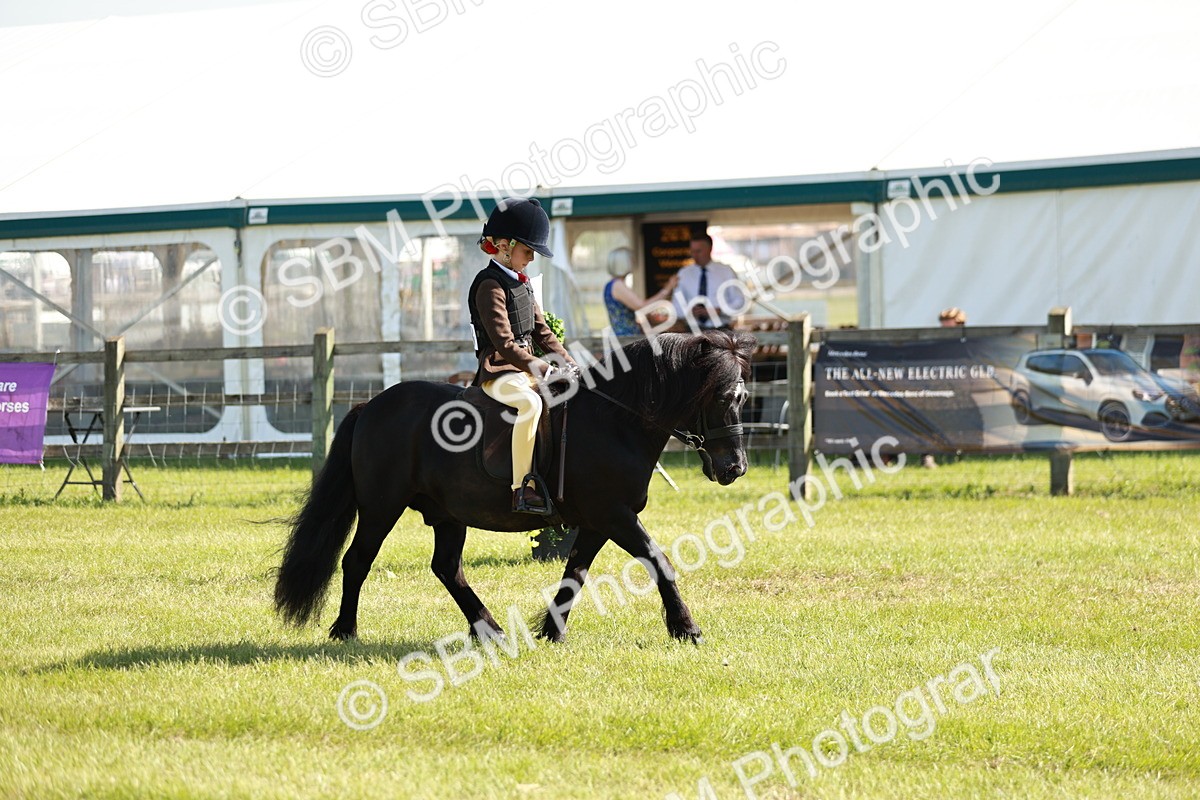 SBM_12599 - Class 106-107 - BSPS LIHS Working Sports Pony