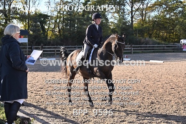 BPP_9596 - LONG ARENA