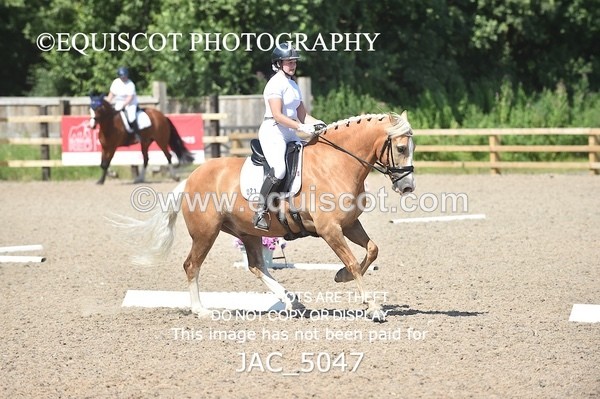 JAC_5047 - CLASS 7 / 8  ELEM 6 / 7