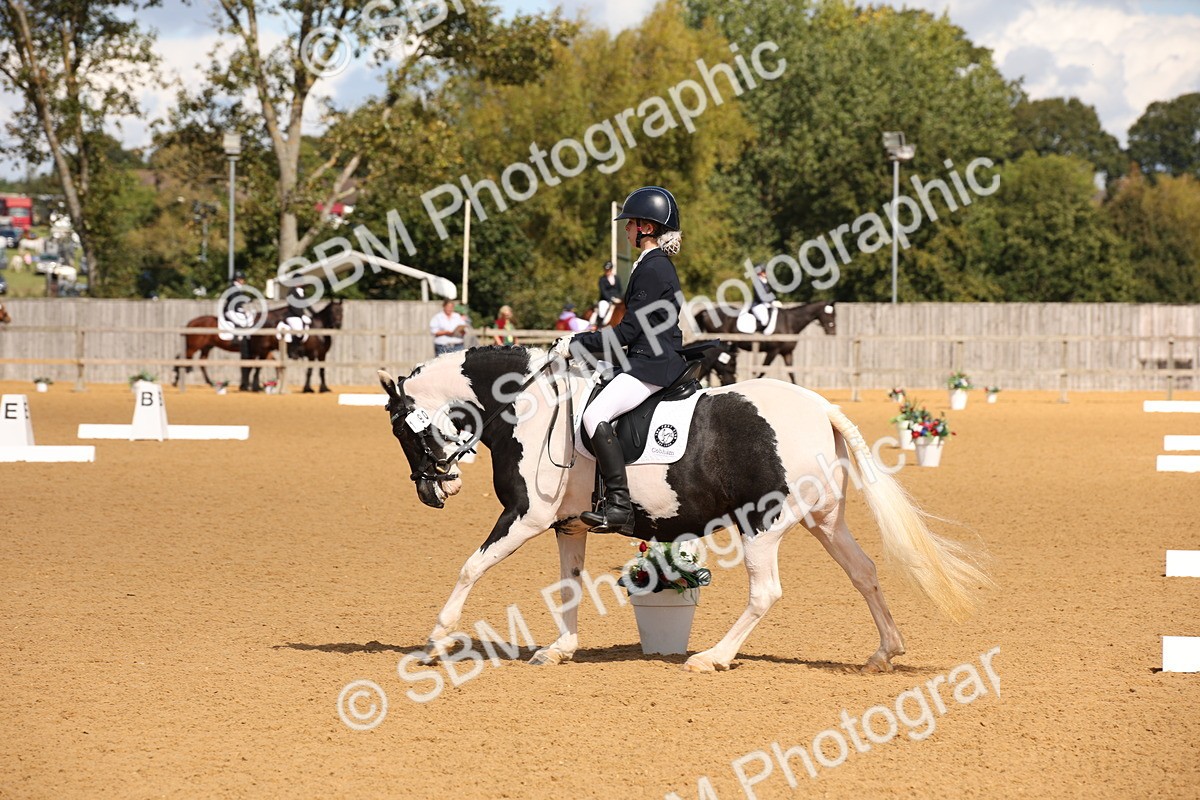 SBM_06653 - D8 Small Tour Championship Prelim 7