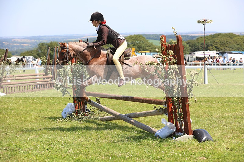 JPP_2963 - Class 22: Working Hunter 70cm
