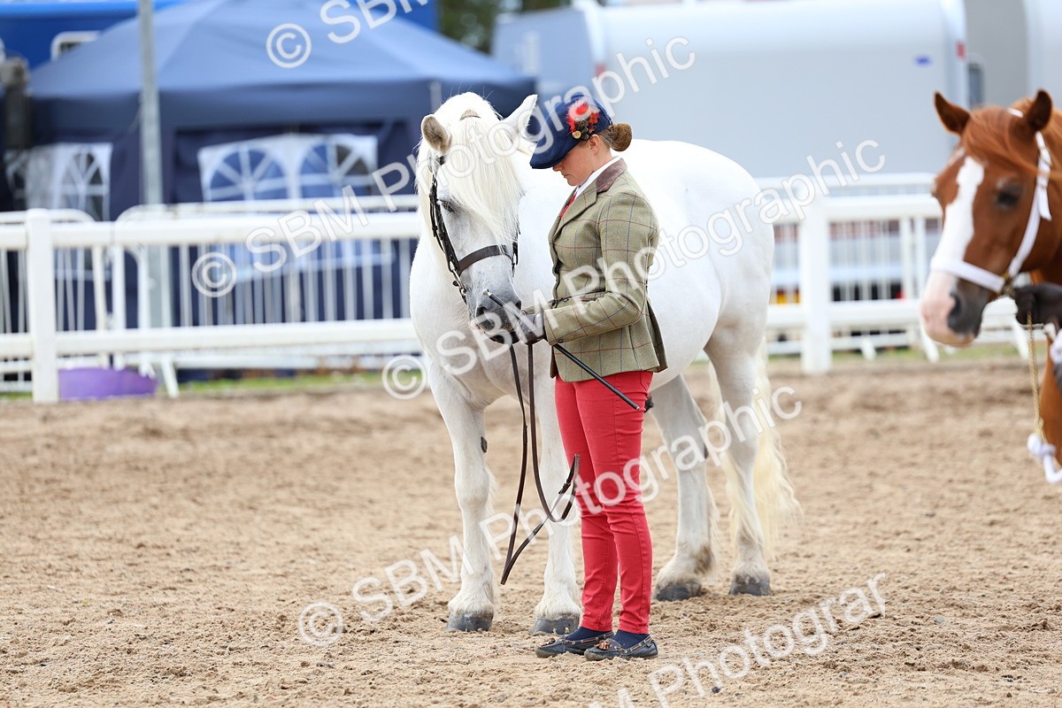 SBM_05972 - Class 29 - IH Veteran Pony