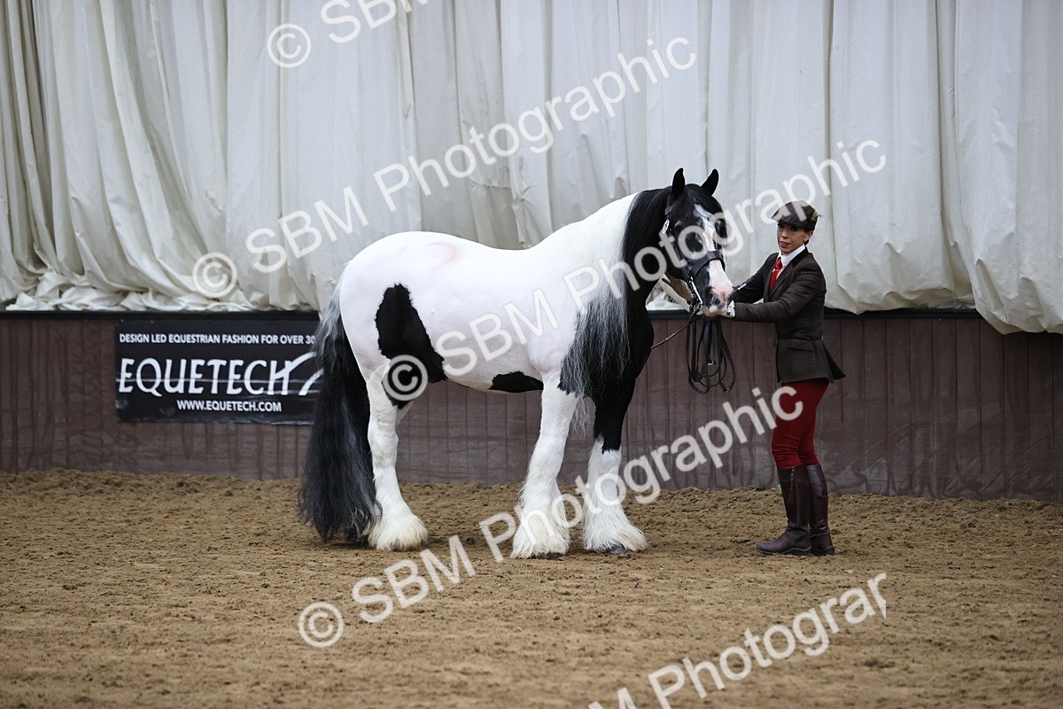 SBM_5629 - Class 40 - RESS In Hand Qualifier