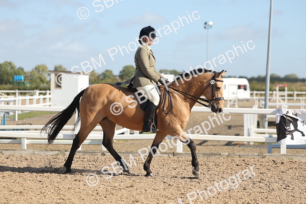 SBM_22597 - Class 804 - Ridden Veteran Pony