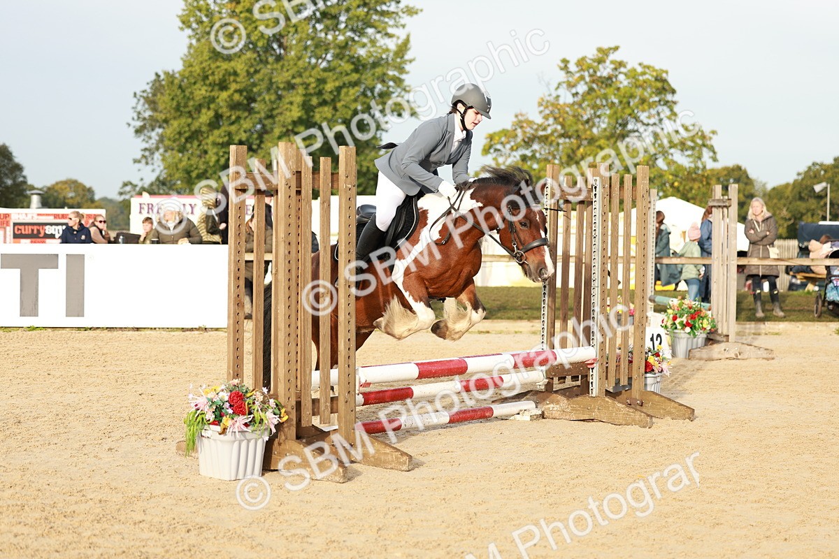 SBM_55463 - J11 - Junior Pony 50cm Championship