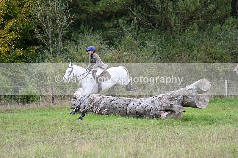 WJ7_3700 - Camera 1 Line 1