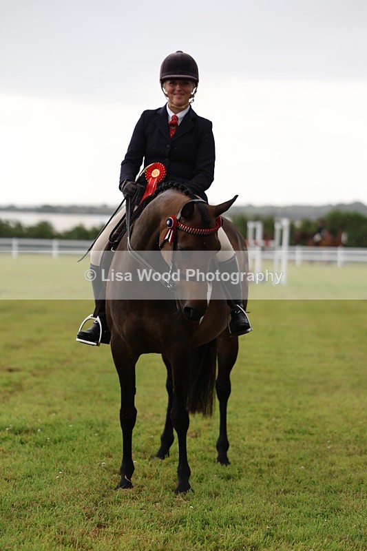 3E7A7933 - Class 1: Rising Star Small Hack/Riding Horses