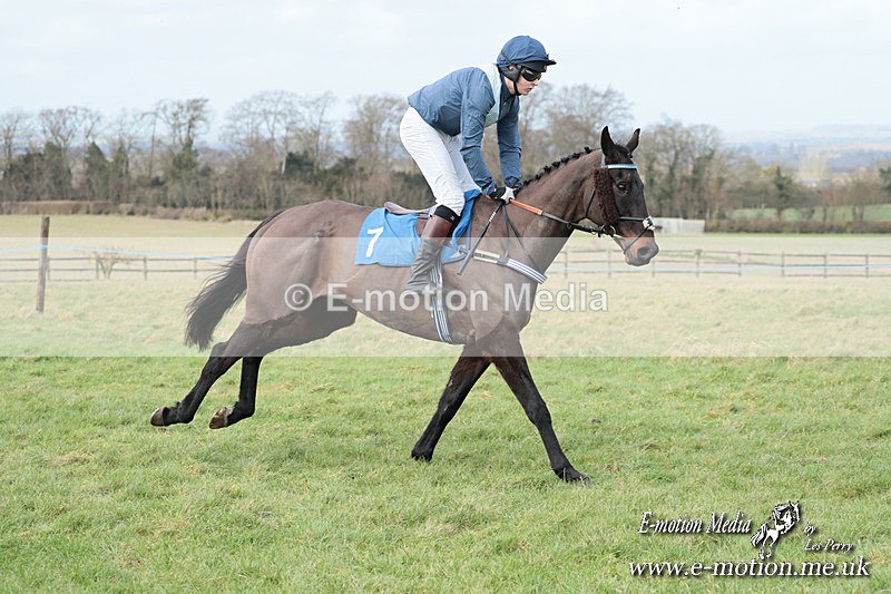PtP 220225 824 - Kimblewick Point-to-Point  Kingston Blount 22/02/25