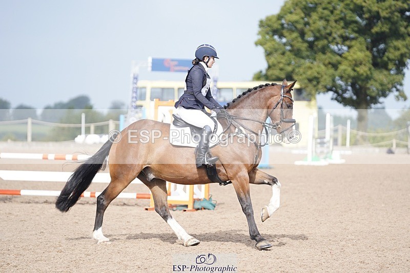 240831A-102108-00235 - 057-Bella.Balian-BEECHWOOD.JOEY