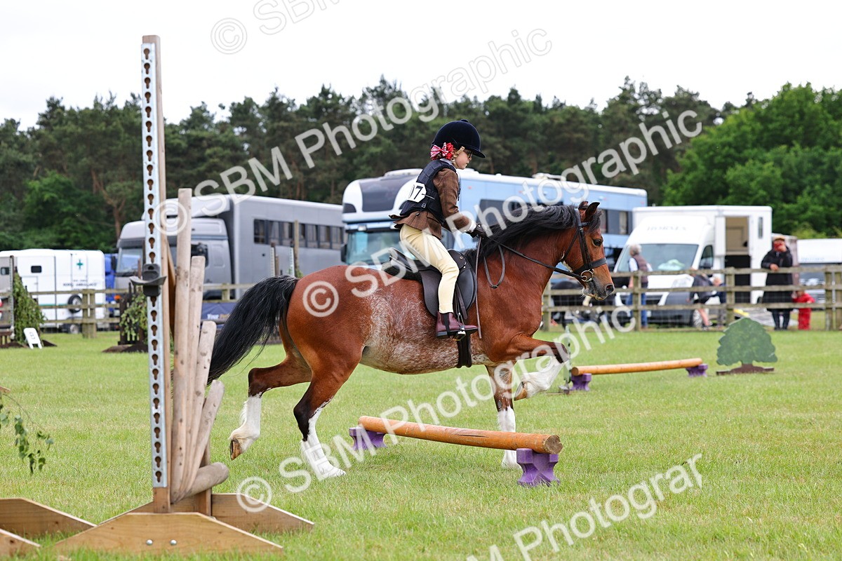 SBM_08775 - Class 42-43 - LIHS BSPS Heritage Working Sports Pony