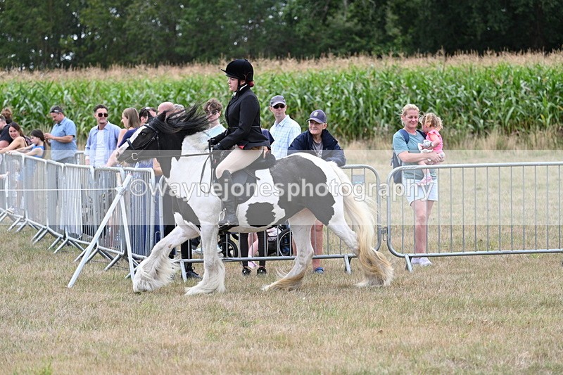 WJ7_4475 - Class 11 Family Mount