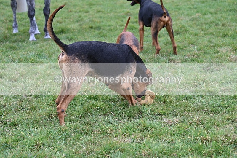 WJ7_7791 - Meet