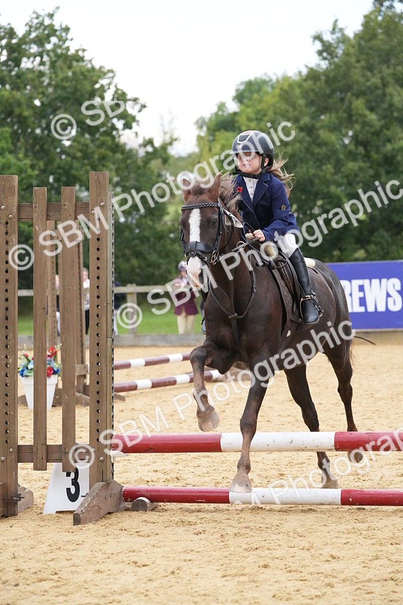 SBM_74539 - J4 - Mini Tour Junior Pony 45cm Championship