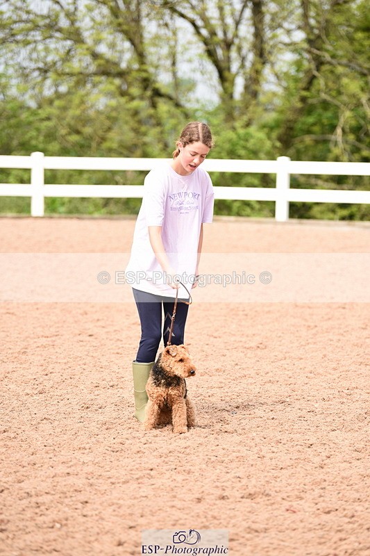 240518A-114028-00799 - Cls 1 Cutest Puppy