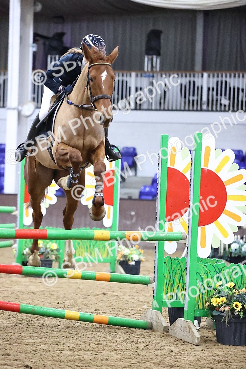 SBM_2085 - Class 8 - Nupafeed Supplements Senior Discovery/ 1m Open