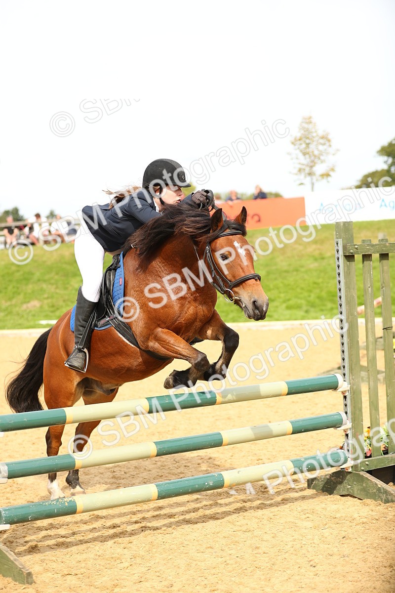 SBM_67202 - J17 - Junior Pony 80cm Championship