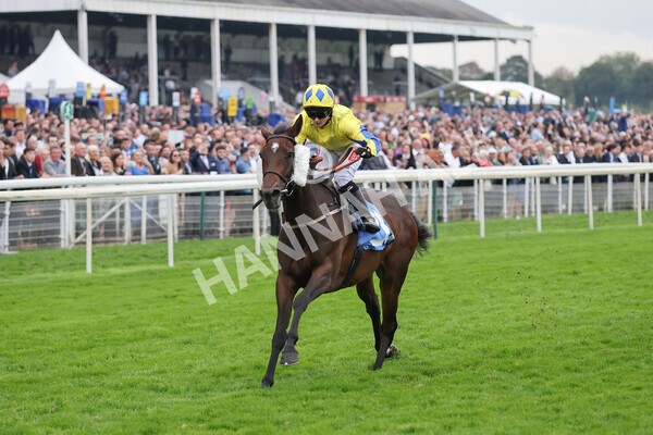 yr09102021r7-23 - Race 7 5.00pm Coral Proud Sponsors Of British Racing Finale Handicap