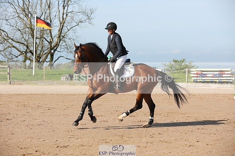 250427-090824-14760 - Cls 28 Young Horse 5yr old