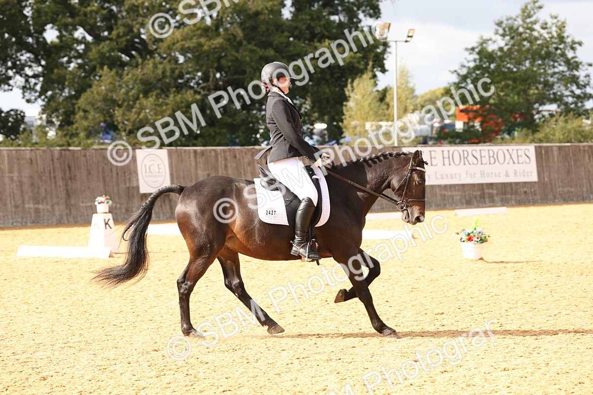 SBM_24666 - D17 - Grand Tour Championship Novice 3