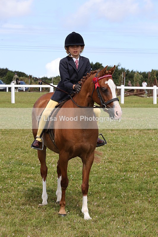 1X9A3920 - Class 31: Show Pony 148cm and under