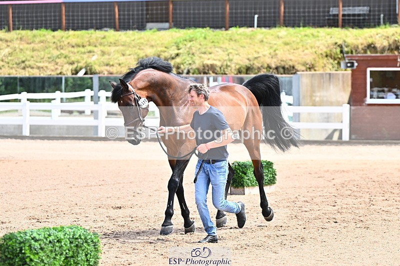 240718A-105247-01158 - Trot Up 12pm to 1pm