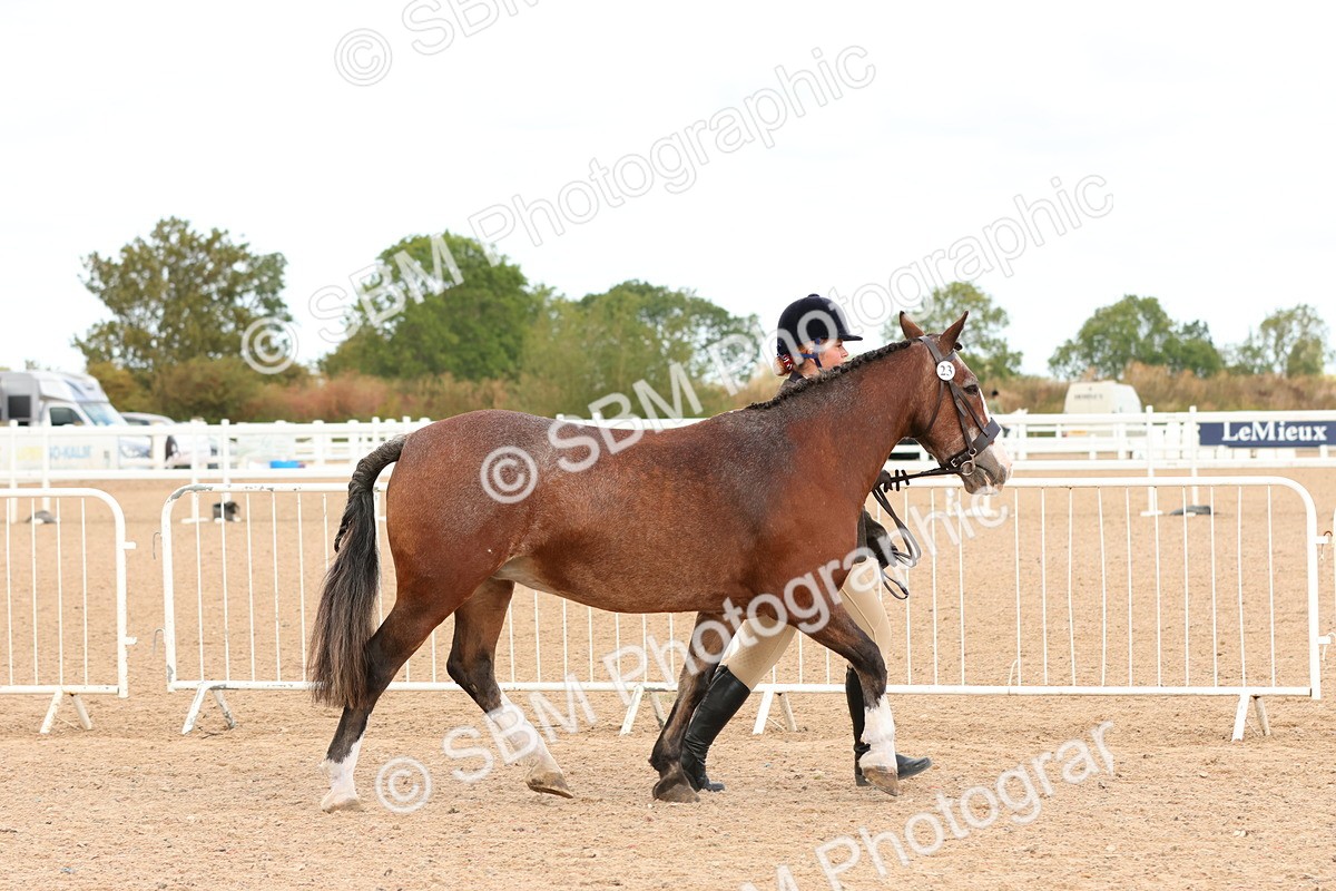 SBM_11930 - Class 209 - IH Veteran Pony