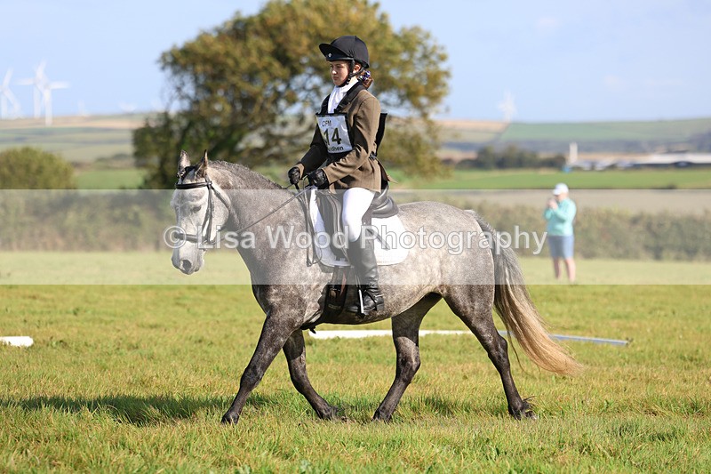 3E7A5719 - Class 1: Trebudannon Open: Dressage (Part 2)
