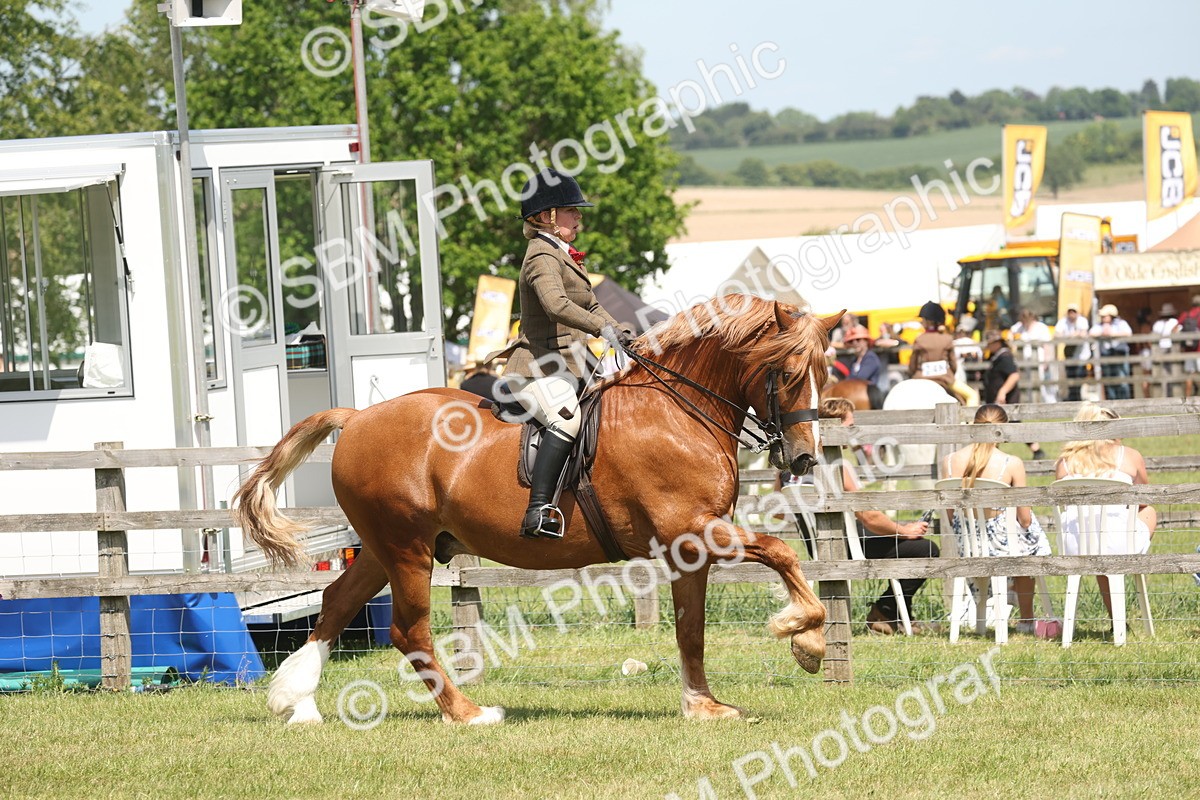 SBM_06929 - Class 26-30 - Mountain and Moorland Ridden